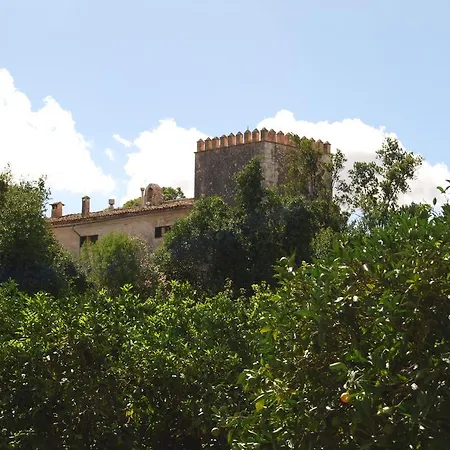 Country house Son Vivot
