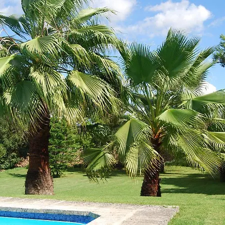 Son Vivot Country house Inca (Mallorca)