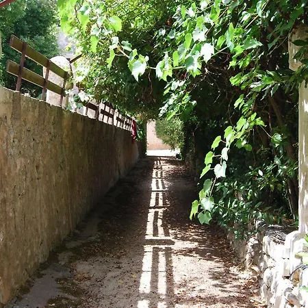 Country house Son Vivot *