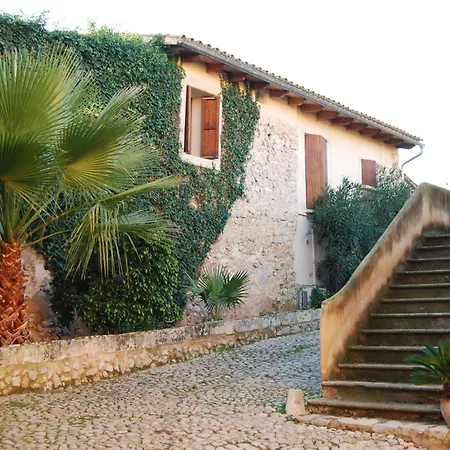 Son Vivot Country house *