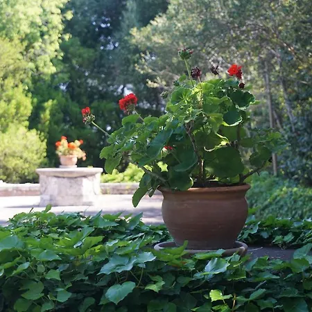 Casa rural Son Vivot