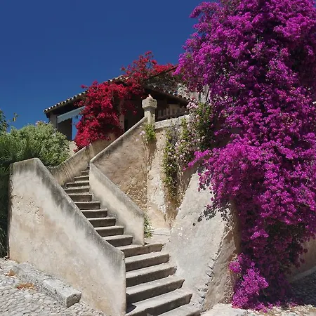 Country house Son Vivot
