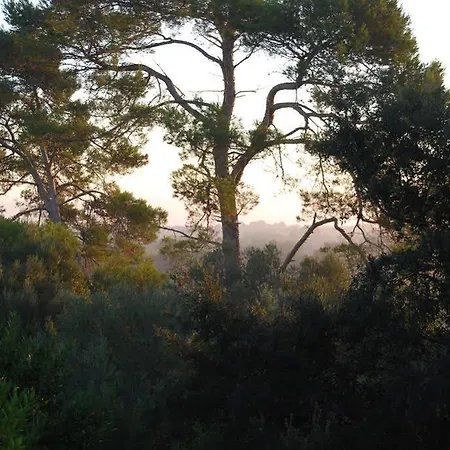 Son Vivot * Inca (Mallorca)